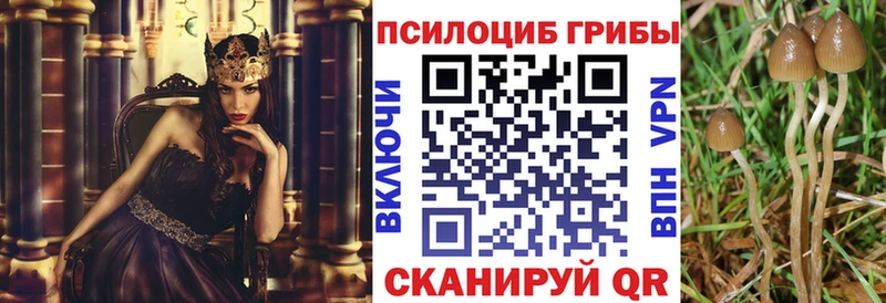 Псилоцибиновые грибы мухоморы  магазин продажи   Чусовой 
